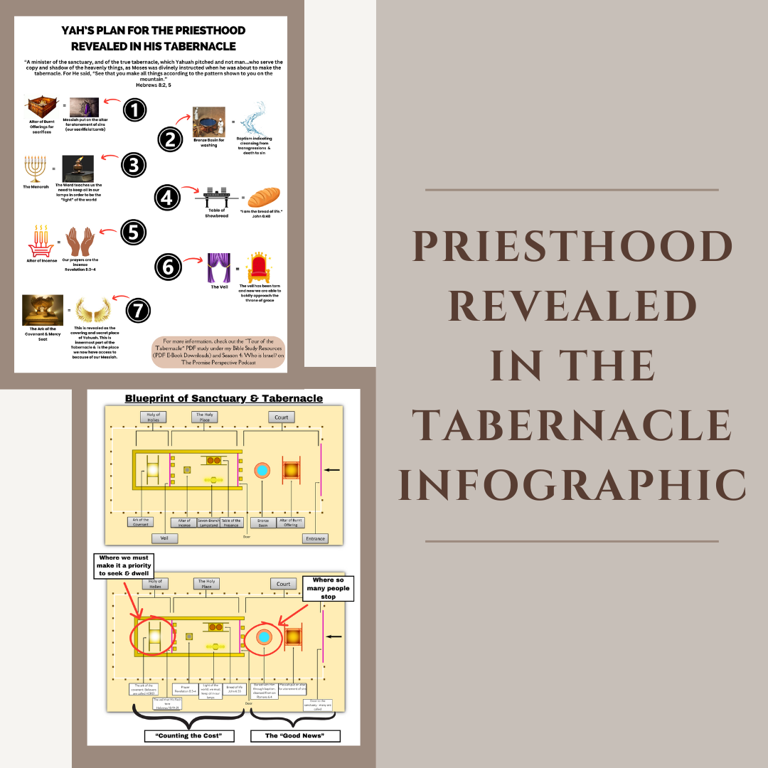 Priesthood Revealed in the Tabernacle Infographic