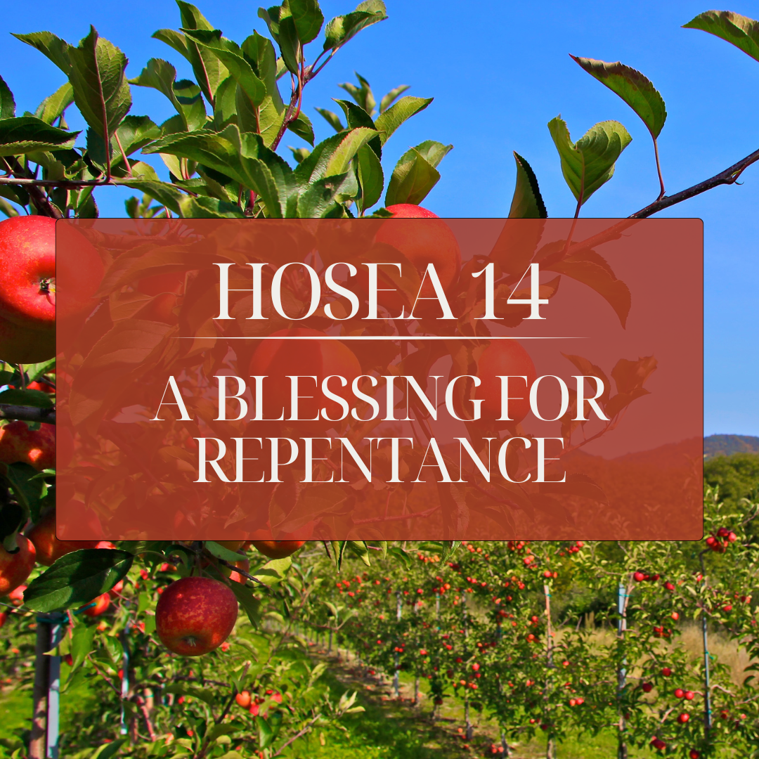 Hosea 14: A Blessing for Repentance