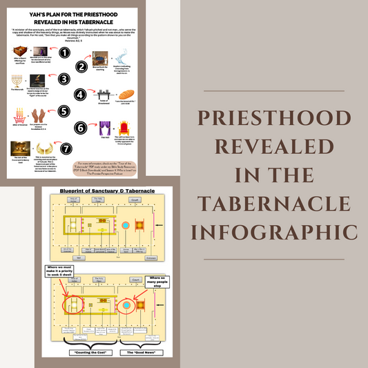Priesthood Revealed in the Tabernacle Infographic