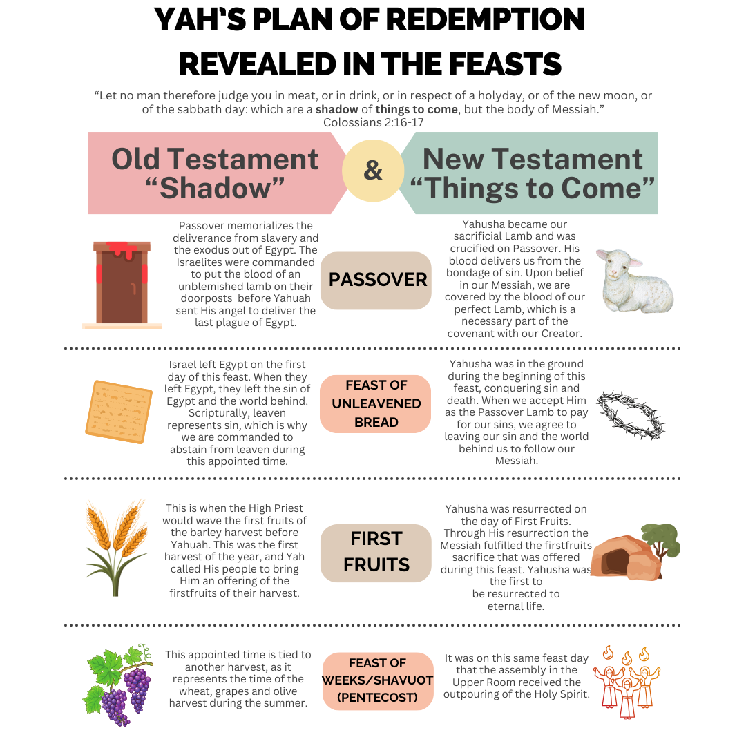 Redemption Revealed in the Feasts Infographic
