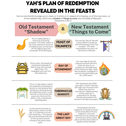 Redemption Revealed in the Feasts Infographic